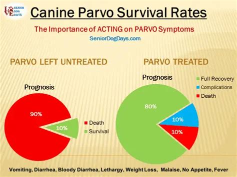 chances of surviving parvo